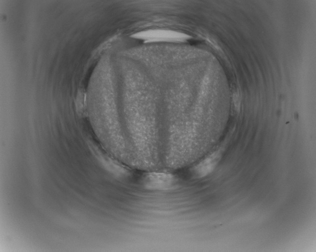 X0000079290429200612151707