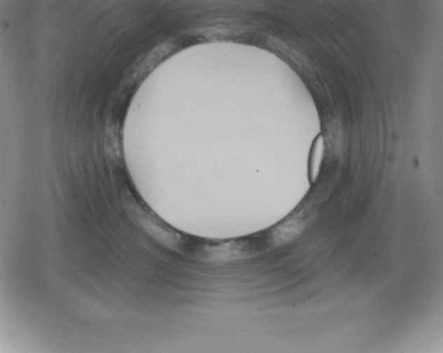 X0000079290430200612151707