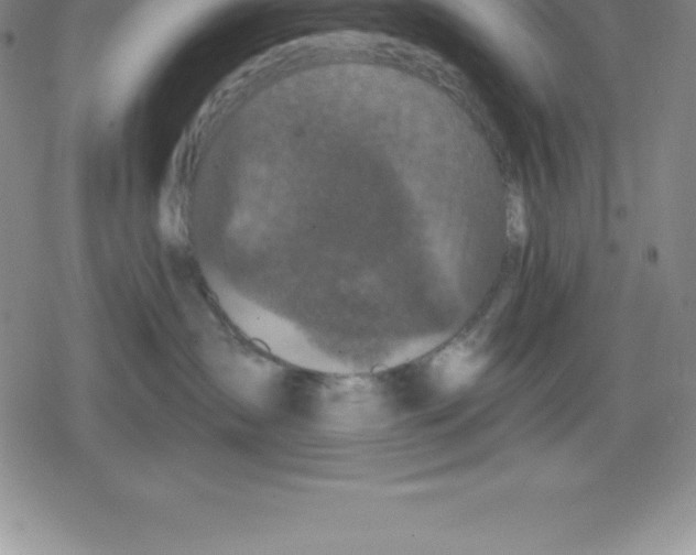 X0000079290431200612151707