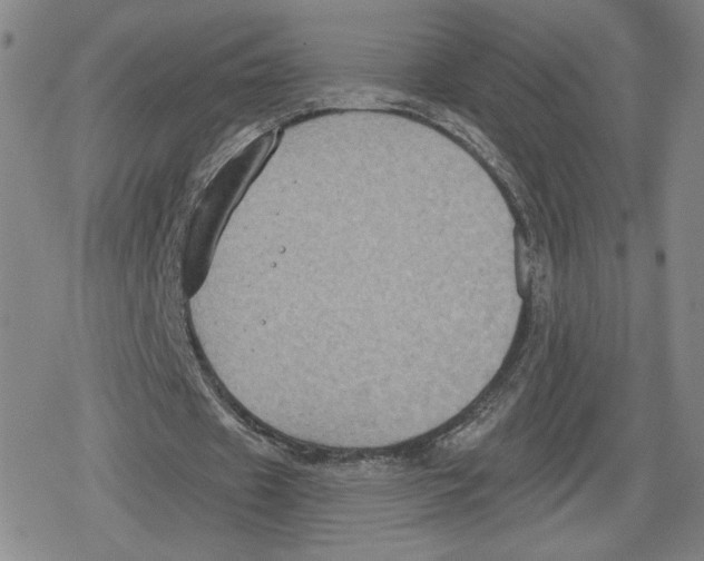 X0000079290433200612151706