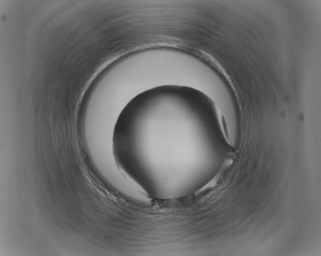 X0000079290435200612151706