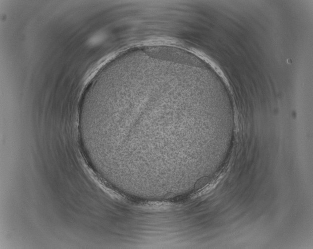 X0000079290437200612151706