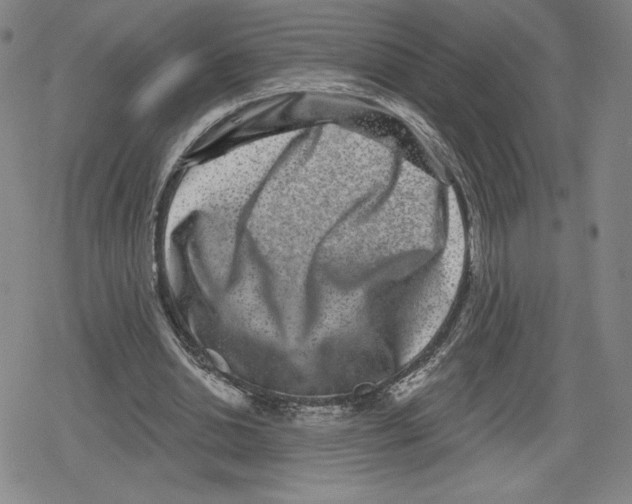 X0000079290438200612151706