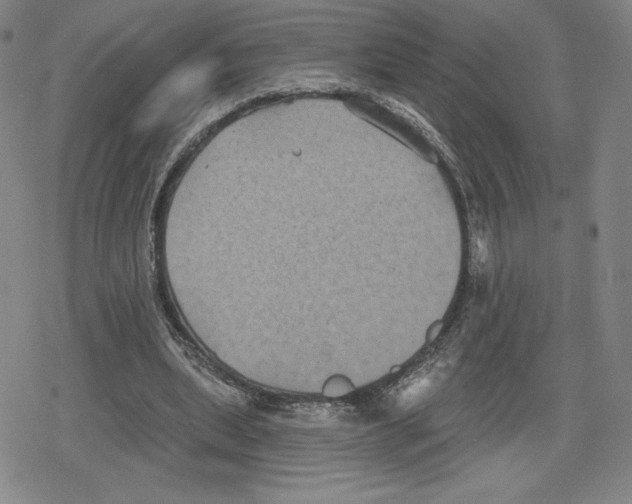 X0000079290439200612151706