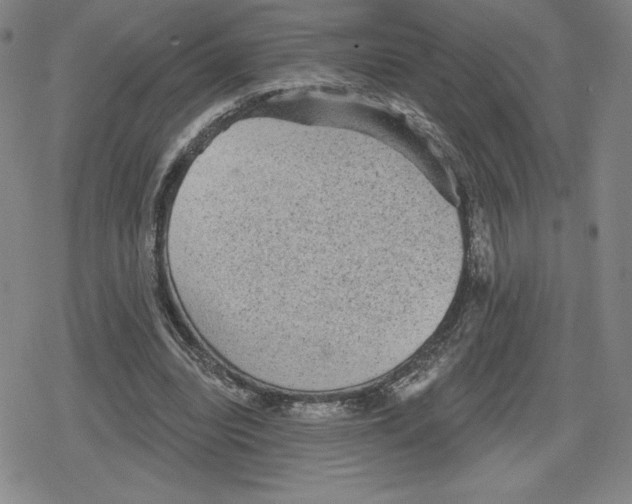 X0000079290440200612151706