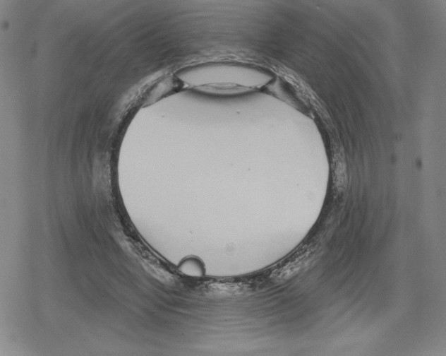 X0000079290442200612151706