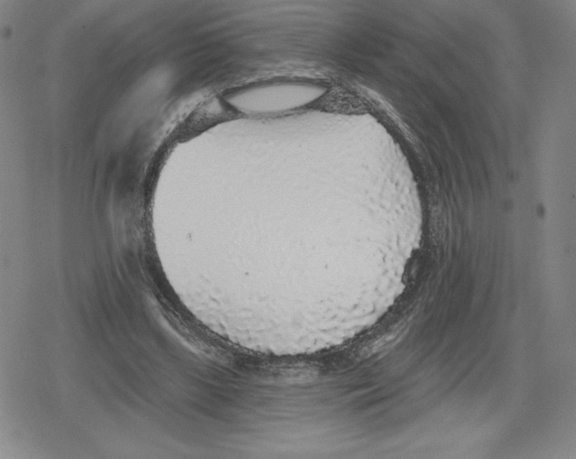 X0000079290443200612151706