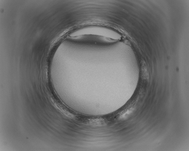 X0000079290446200612151706