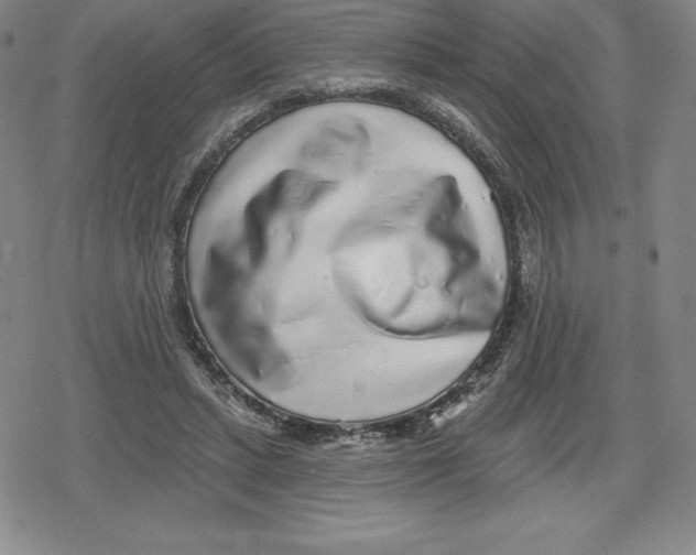 X0000079290447200612151706