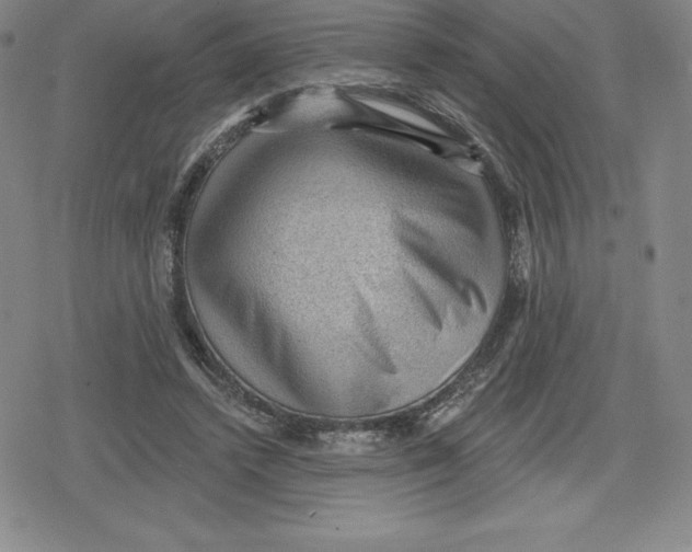 X0000079290448200612151706