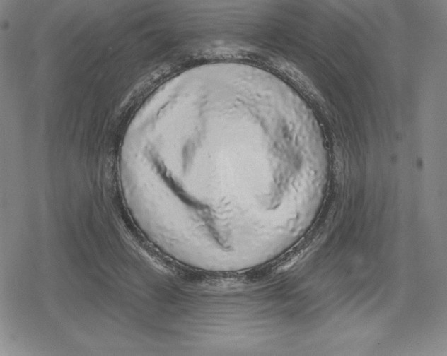 X0000079290449200612151706