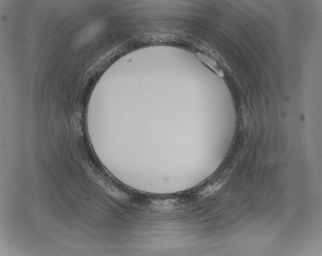 X0000079290450200612151706