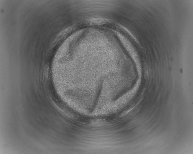 X0000079290451200612151706