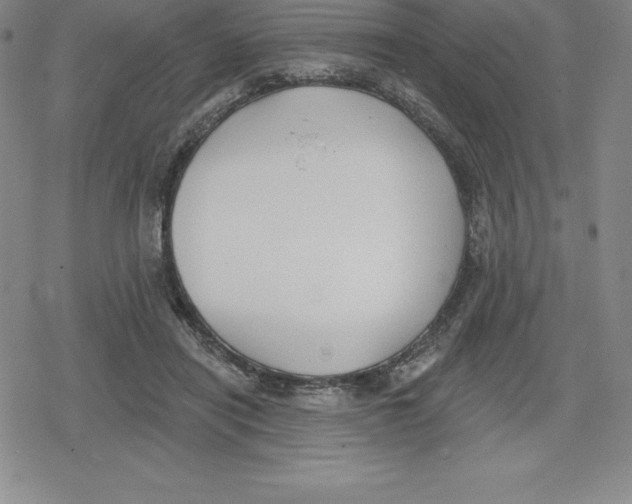 X0000079290454200612151706