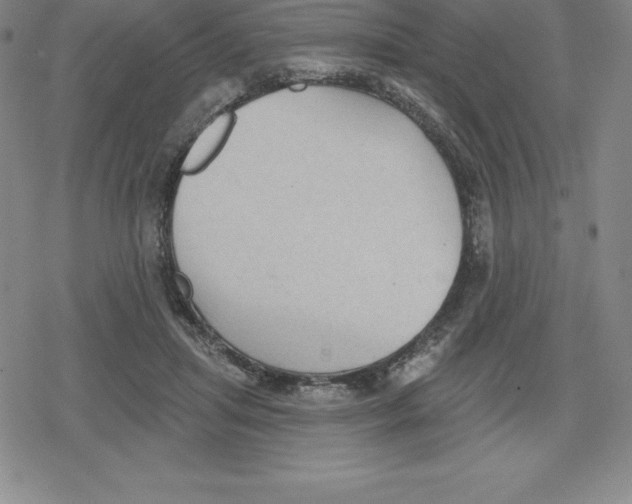 X0000079290455200612151706