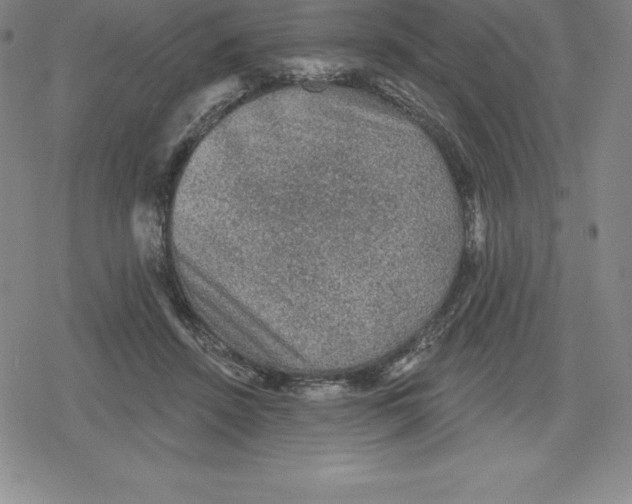 X0000079290456200612151706