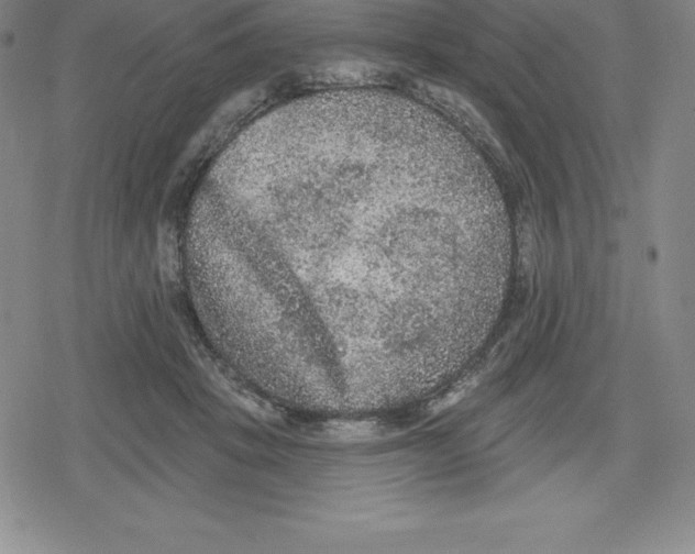 X0000079290457200612151706