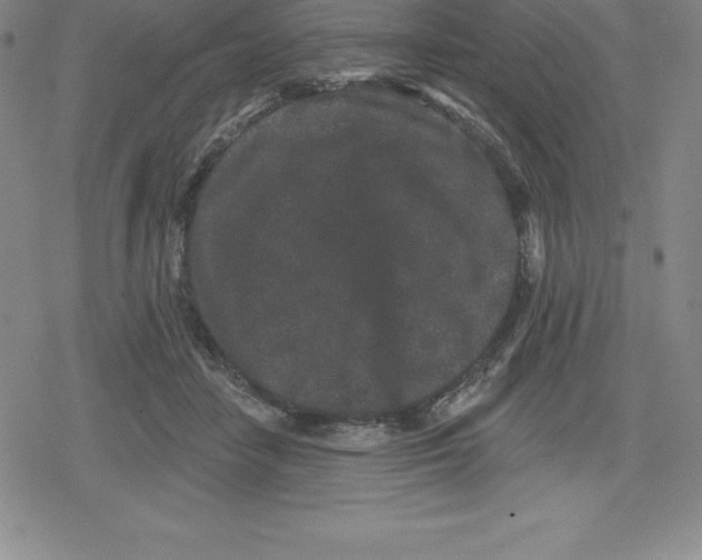 X0000079290458200612151706