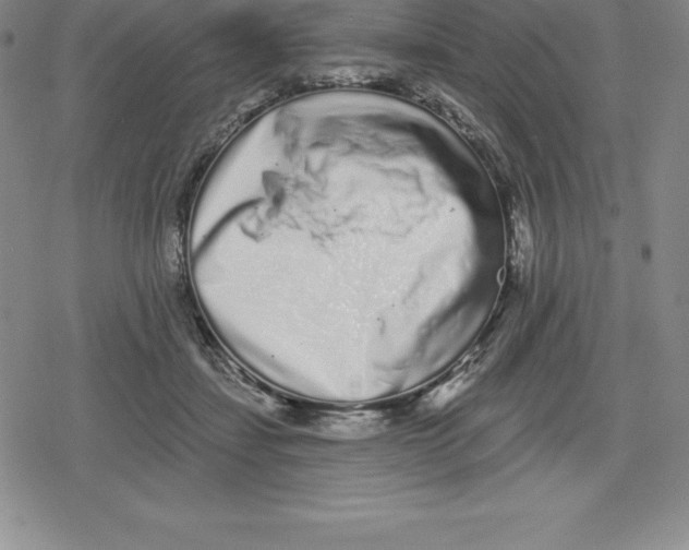 X0000079290459200612151706