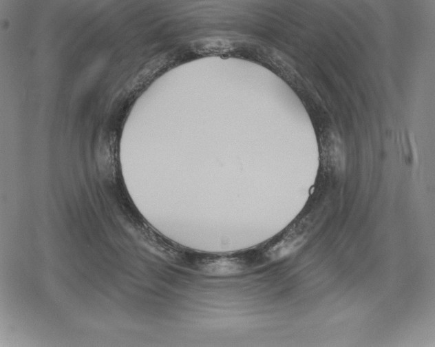 X0000079290460200612151706