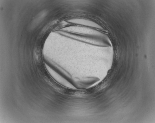 X0000079290462200612151706