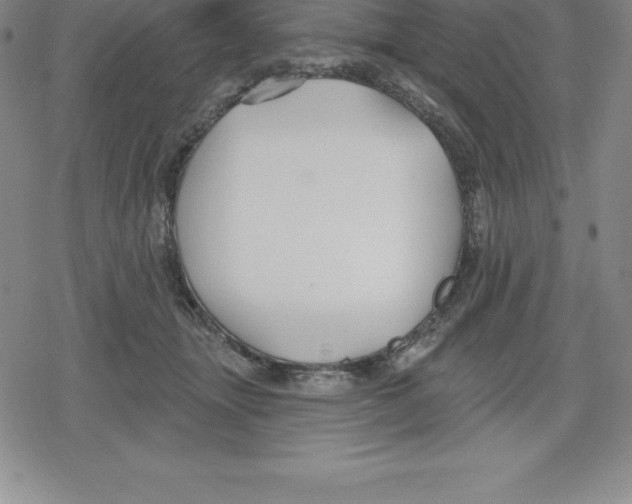 X0000079290463200612151706