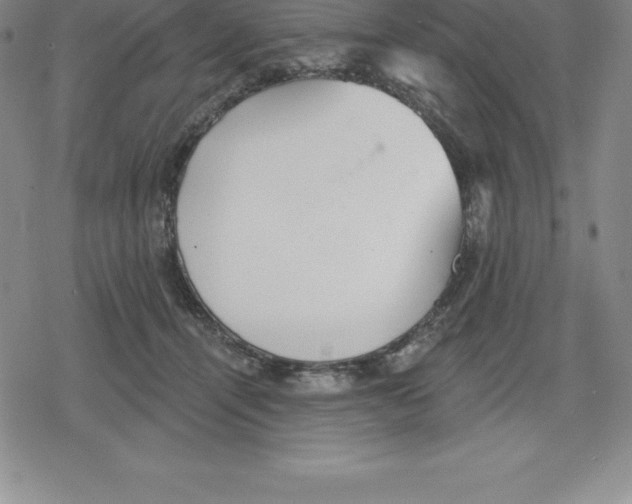 X0000079290464200612151706