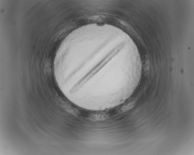 X0000079290466200612151706