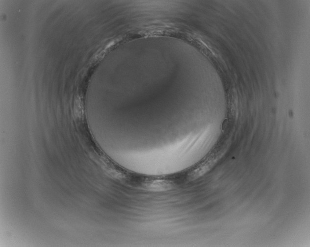 X0000079290467200612151706