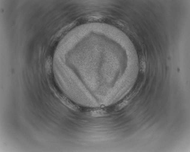 X0000079290468200612151706