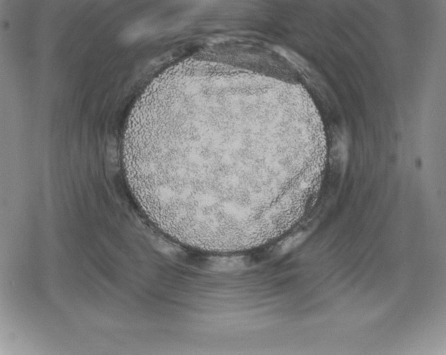 X0000079290469200612151706