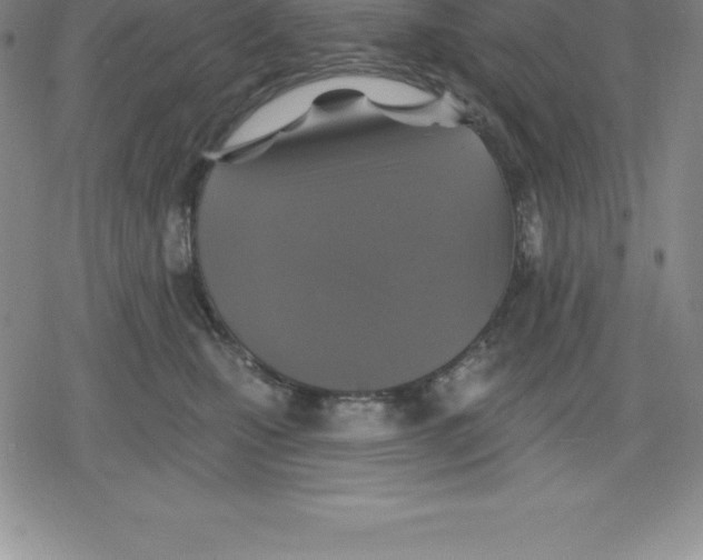 X0000079290471200612151706