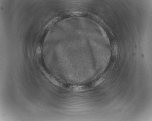 X0000079290472200612151706