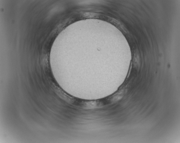 X0000079290473200612151706