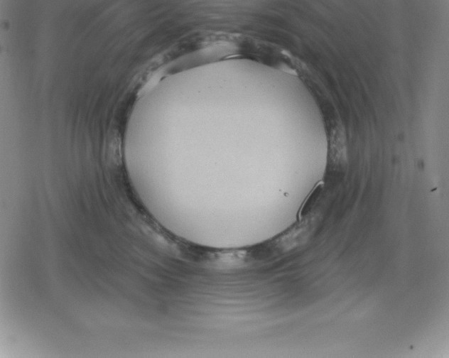 X0000079290474200612151706