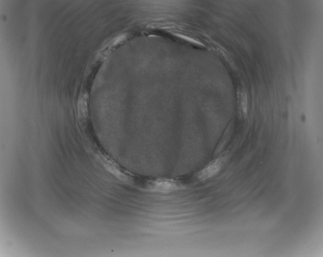 X0000079290475200612151706