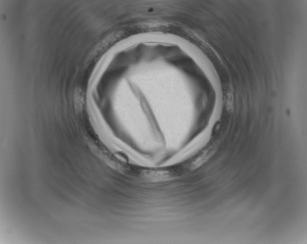 X0000079290476200612151706