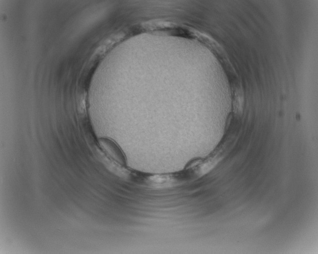 X0000079290477200612151706