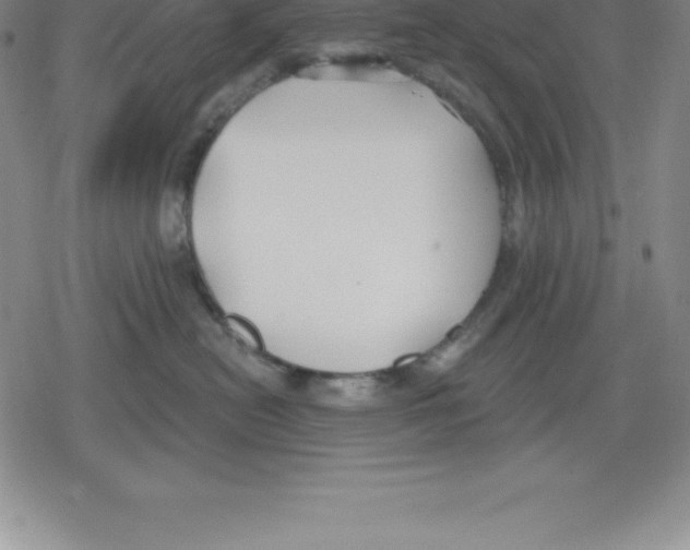 X0000079290478200612151706