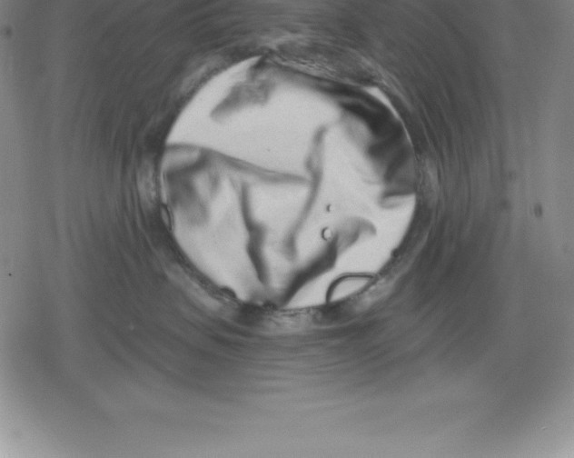 X0000079290479200612151706