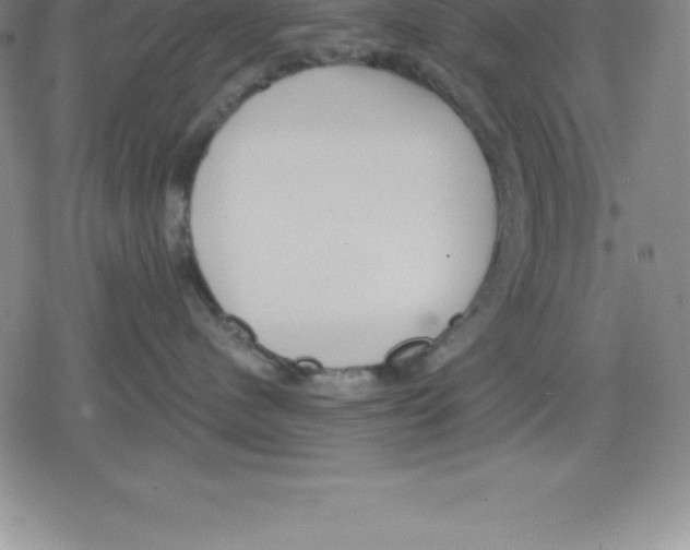 X0000079290480200612151706