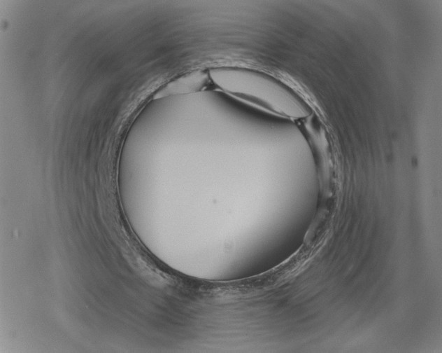 X0000079290481200612151706