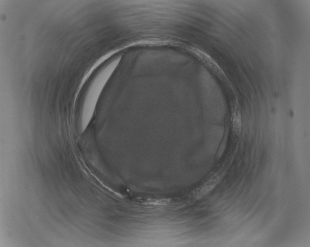 X0000079290484200612151706