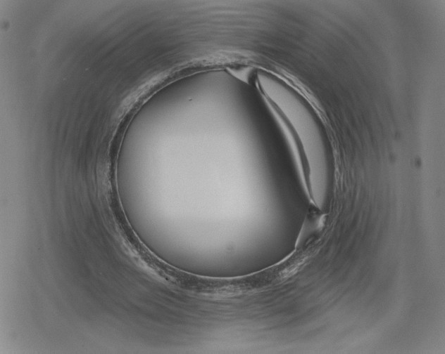 X0000079290485200612151706