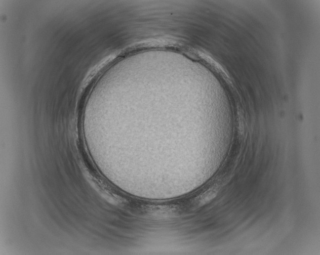 X0000079290486200612151706