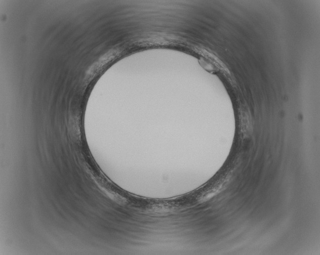 X0000079290489200612151706