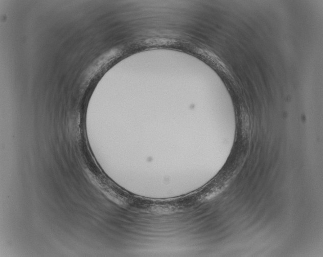 X0000079290490200612151706