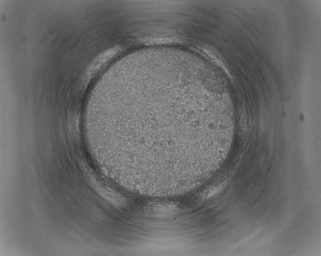 X0000079290491200612151706