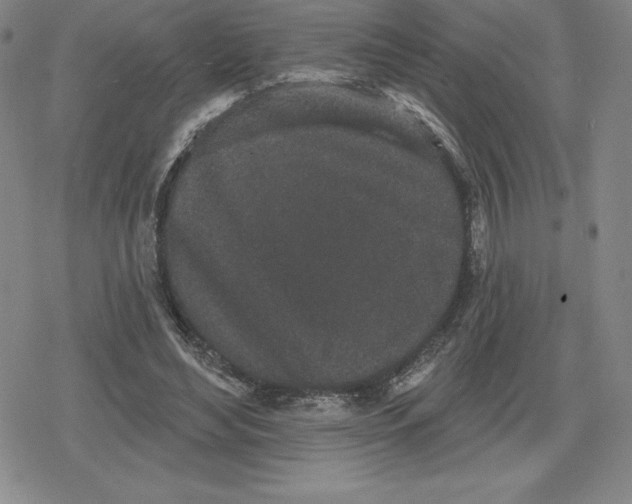 X0000079290492200612151706