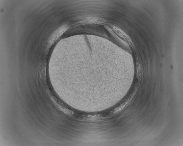 X0000079290493200612151706